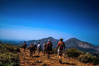 enagron-activities-03.jpg
