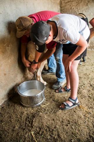 enagron-activities-32.jpg
