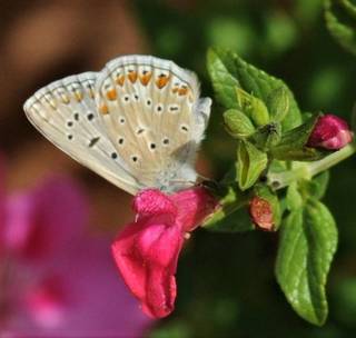 enagron-nature-02.jpg
