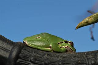 enagron-nature-08.jpg
