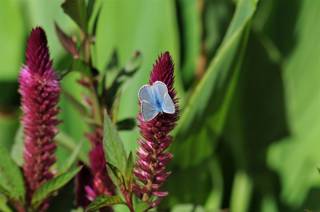 enagron-nature-14.jpg
