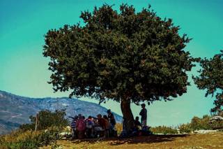 enagron-activities-08.jpg
