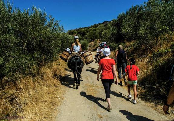 enagron-outdoor-activities-01.jpg
