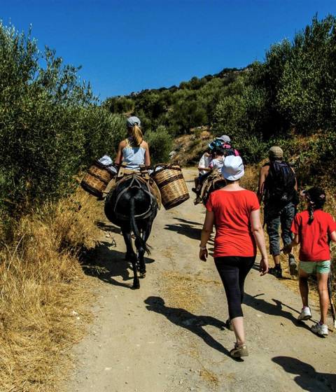 enagron-outdoor-activities-01.jpg
