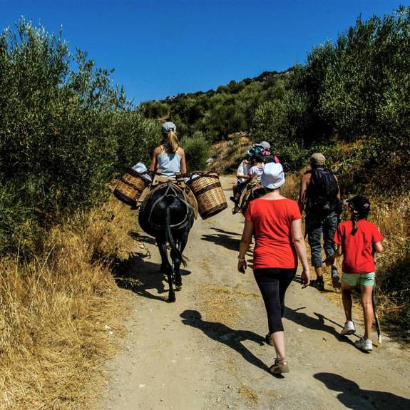enagron-outdoor-activities-01.jpg

