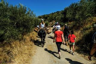 enagron-outdoor-activities-01.jpg
