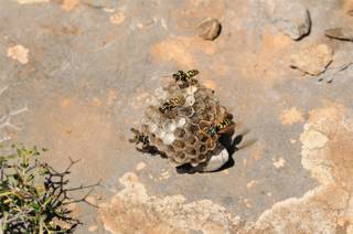 enagron-nature-16.jpg
