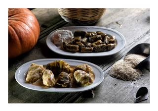 enagron-diet-27.jpg

