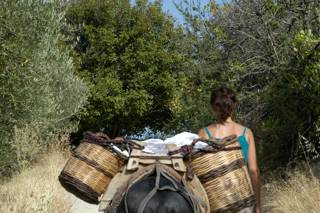 enagron-activities-11.jpg
