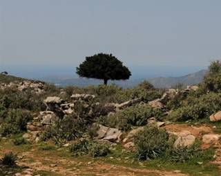enagron-nature-20.jpg
