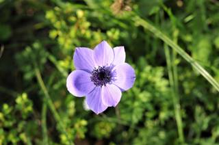 enagron-nature-26.jpg
