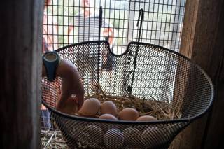 enagron-activities-25.jpg
