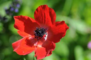 enagron-nature-25.jpg
