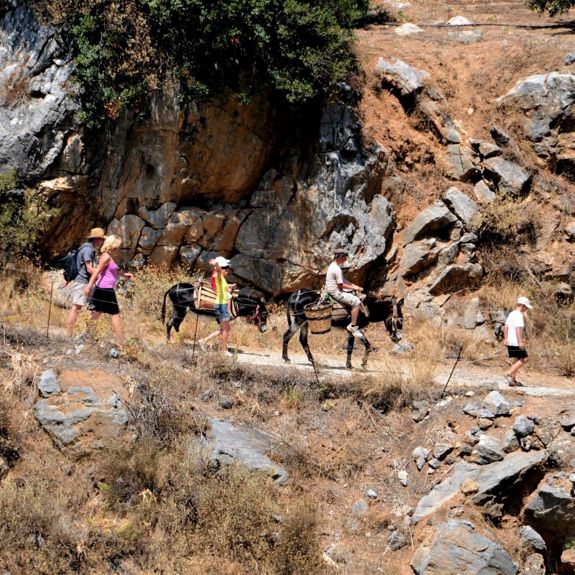 enagron-activities-29.jpg
