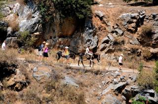 enagron-activities-29.jpg
