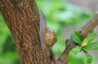 enagron-nature-21.jpg
